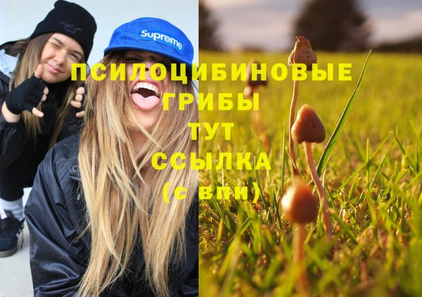 mix Лагань