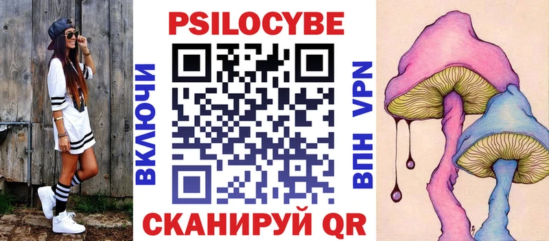 Купить  Красноуральск  Псилоцибиновые грибы Psilocybine cubensis 